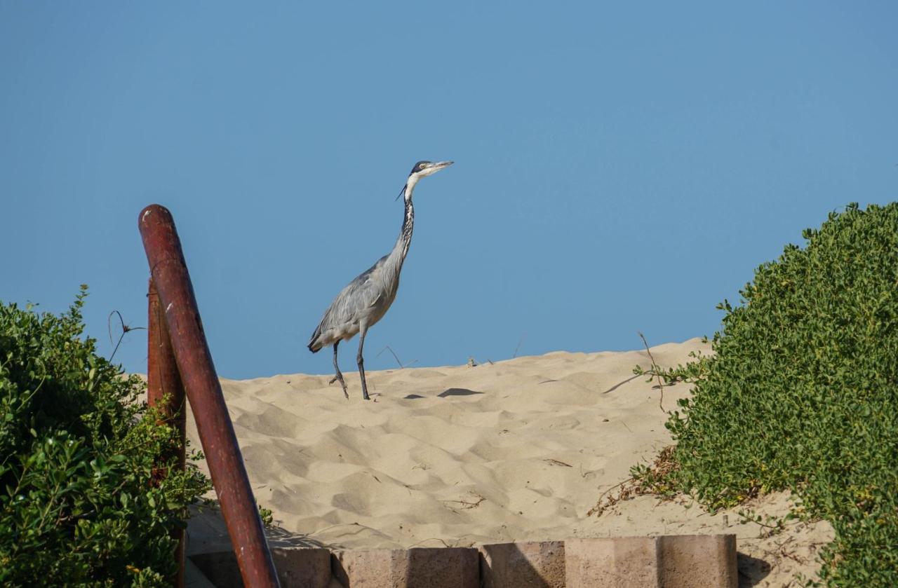 فندق The Gull سيدجفيلد المظهر الخارجي الصورة
